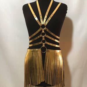 Fringe dress,harness transformer ,harness fringe,harness for dance