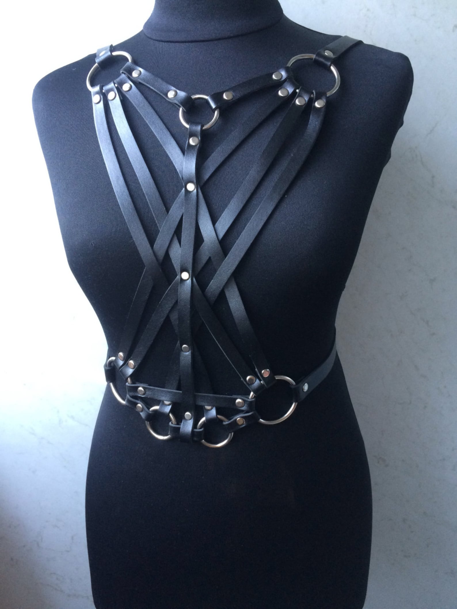 Twoside Harnessharness With Bucklesharness for the Etsy UK