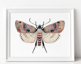 Moth watercolour Digital Print Instant Art INSTANT DOWNLOAD Printable Wall Decor