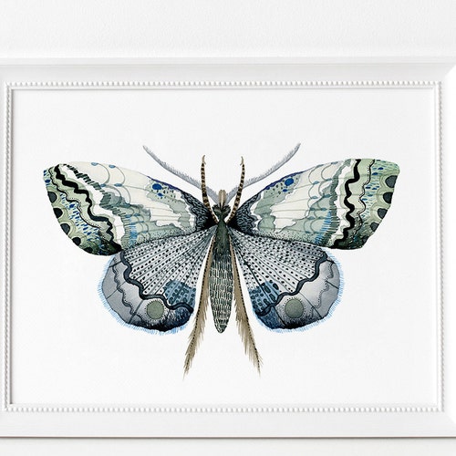 Green Cecropia Moth Watercolour Digital Print Instant Art - Etsy