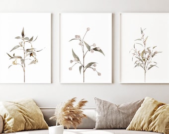 Eucalyptus Set of 3 Print, Instant Art INSTANT DOWNLOAD Printable Wall Decor, Modern Minimalist Poster