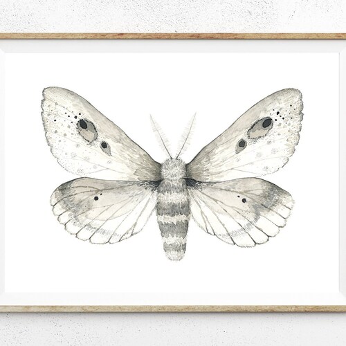 Moth Watercolor Digital Print Instant Art INSTANT DOWNLOAD - Etsy