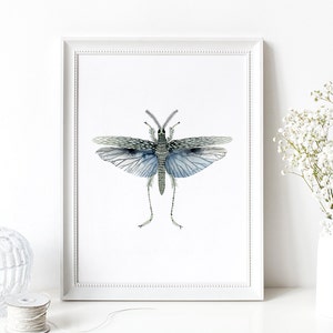 Blue Insect Moth watercolour Digital Print Instant Art INSTANT DOWNLOAD Printable Wall Decor image 2