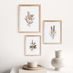Set of 6 Herbs Watercolor Digital Print Instant Art INSTANT DOWNLOAD ...
