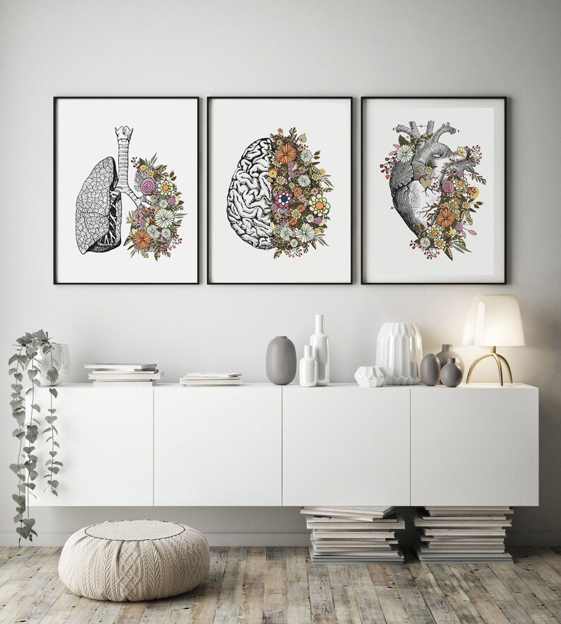 Set of 3 Vintage Anatomy Floral Heart Brain Lungs Print - Etsy Canada