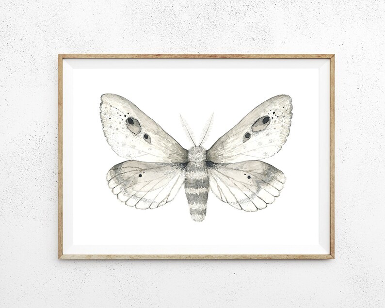White Moth Print Instant Art INSTANT DOWNLOAD Printable Wall Decor