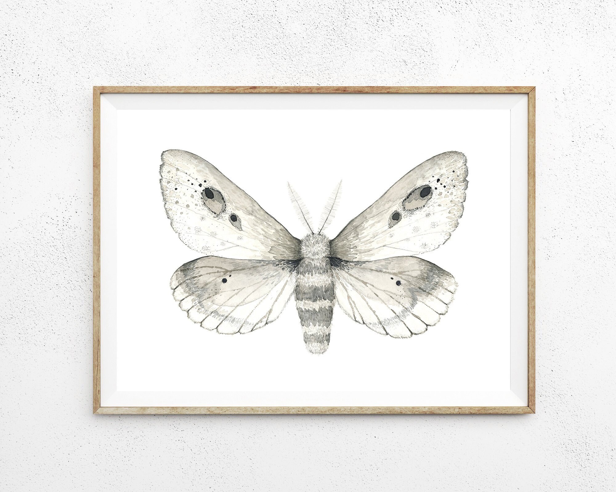 White Moth Print Instant Art INSTANT DOWNLOAD Printable Wall Decor