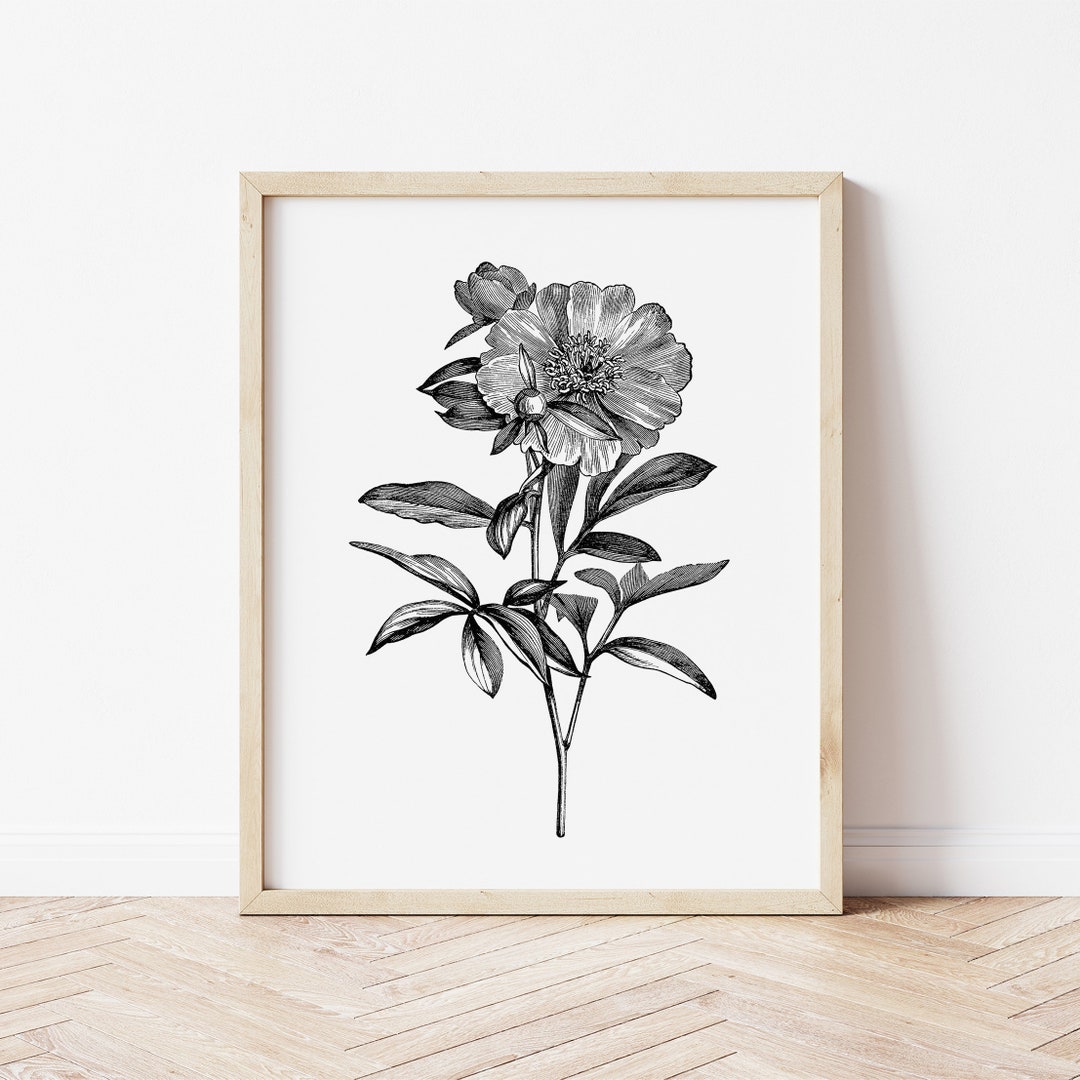 Peony Print Instant Art INSTANT DOWNLOAD Printable Wall Decor - Etsy
