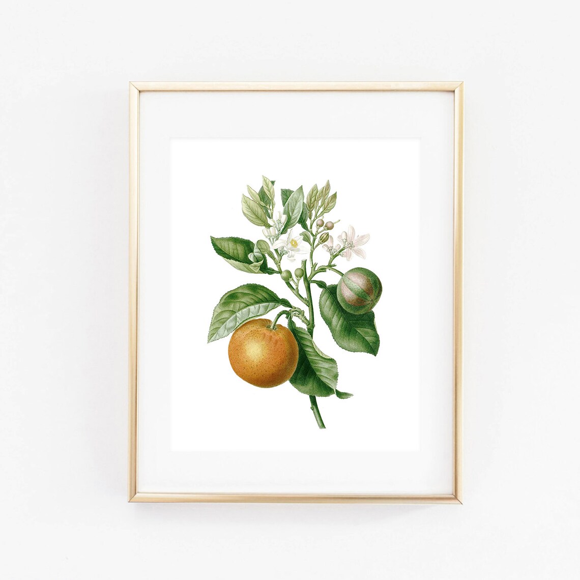 Mandarin Print Instant Art INSTANT DOWNLOAD Printable Wall - Etsy