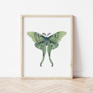 Green Luna Moth Watercolour Print, Nursery Art, Kids Room Illustration, Printable Wall Decor