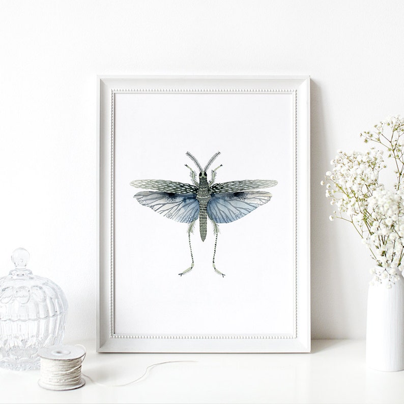 Blue Insect Moth watercolour Digital Print Instant Art INSTANT DOWNLOAD Printable Wall Decor image 2