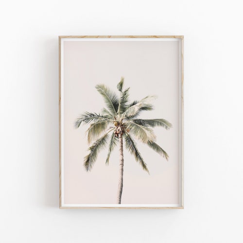 Palm Wall Art Coastal Tree Modern Print Summer Beach - Etsy