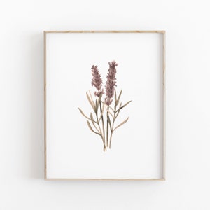 Set of 6 Herbs Watercolor Digital Print Instant Art INSTANT DOWNLOAD ...