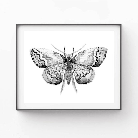 White Moth Print Instant Art INSTANT DOWNLOAD Printable Wall Decor