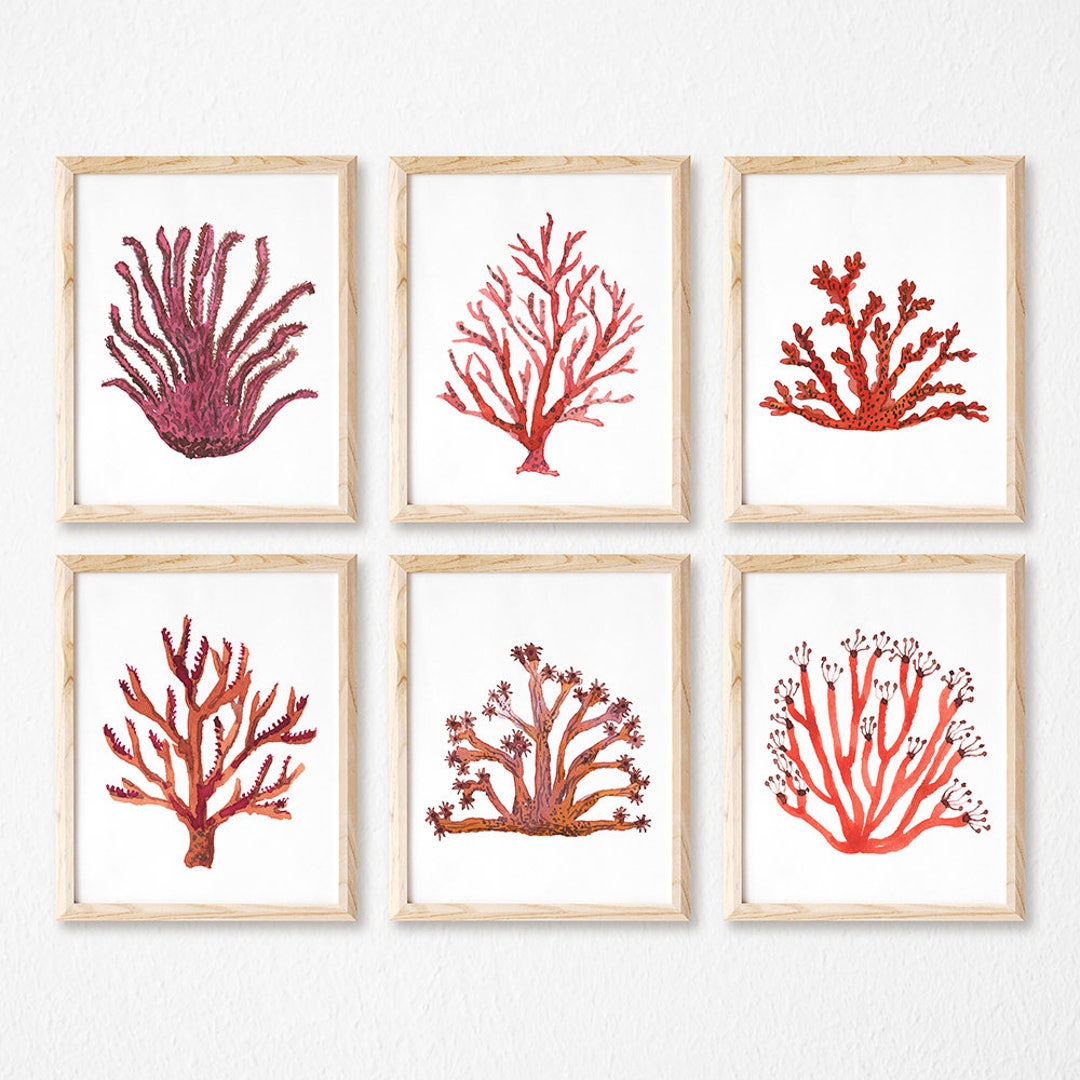 Set of 6 Red Corals Watercolor Digital Print Instant Art - Etsy