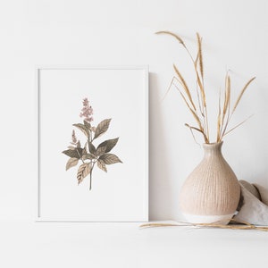Set of 6 Herbs Watercolor Digital Print Instant Art INSTANT DOWNLOAD ...