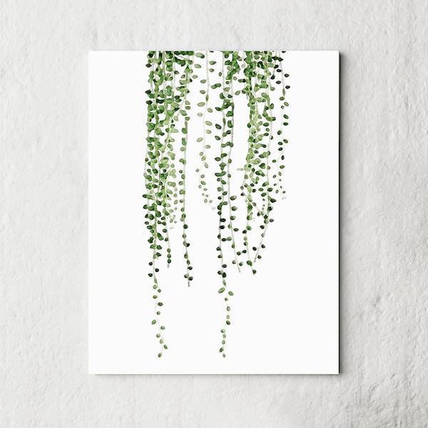 String Of Pearl Plant Print Instant Art INSTANT DOWNLOAD Printable Watercolor Wall Decor