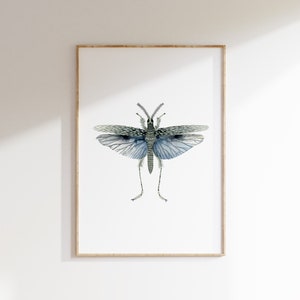 Blue Insect Moth watercolour Digital Print Instant Art INSTANT DOWNLOAD Printable Wall Decor image 1