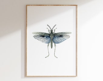 Blue Insect Moth watercolour Digital Print Instant Art INSTANT DOWNLOAD Printable Wall Decor