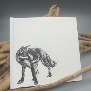 Renard, carte de voeux, dessin à la plume et à l'encre, impression du dessin original. Artiste irlandais, croquis, animal, carte de professeur, carte d'anniversaire