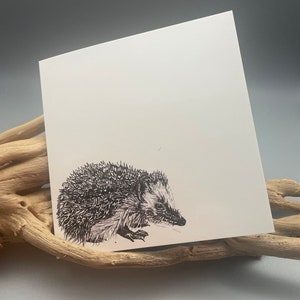 Egel, wenskaart, pen & inkttekening, afdruk van originele tekening. Ierse kunstenaar, schets, dier, lerarenkaart, verjaardagskaart