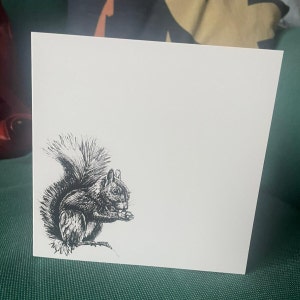 Ardilla, tarjeta de felicitación, dibujo a pluma y tinta, impresión del dibujo original. Artista irlandés, boceto, animal, profesor, tarjeta de cumpleaños, ardilla roja