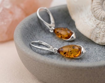Dangle Drop Earrings