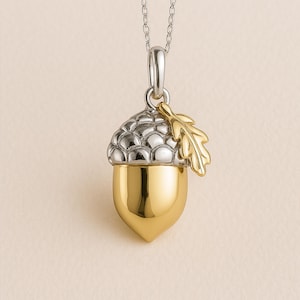 Colar de bolota personalizado banhado a ouro em prata esterlina