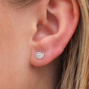 Sterling Silber Ammonit Fossil Ohrstecker