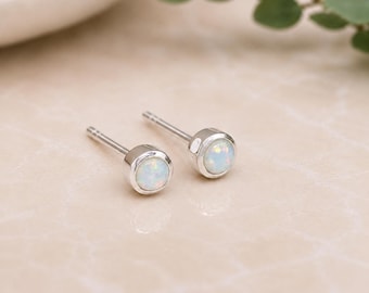 Stud Earrings
