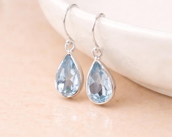 Dangle Drop Earrings