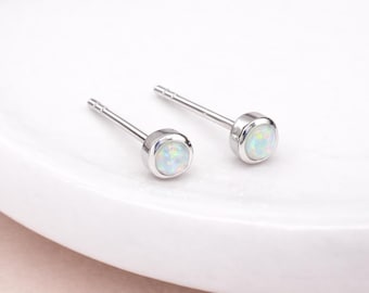 Stud Earrings