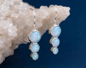 Dangle Drop Earrings