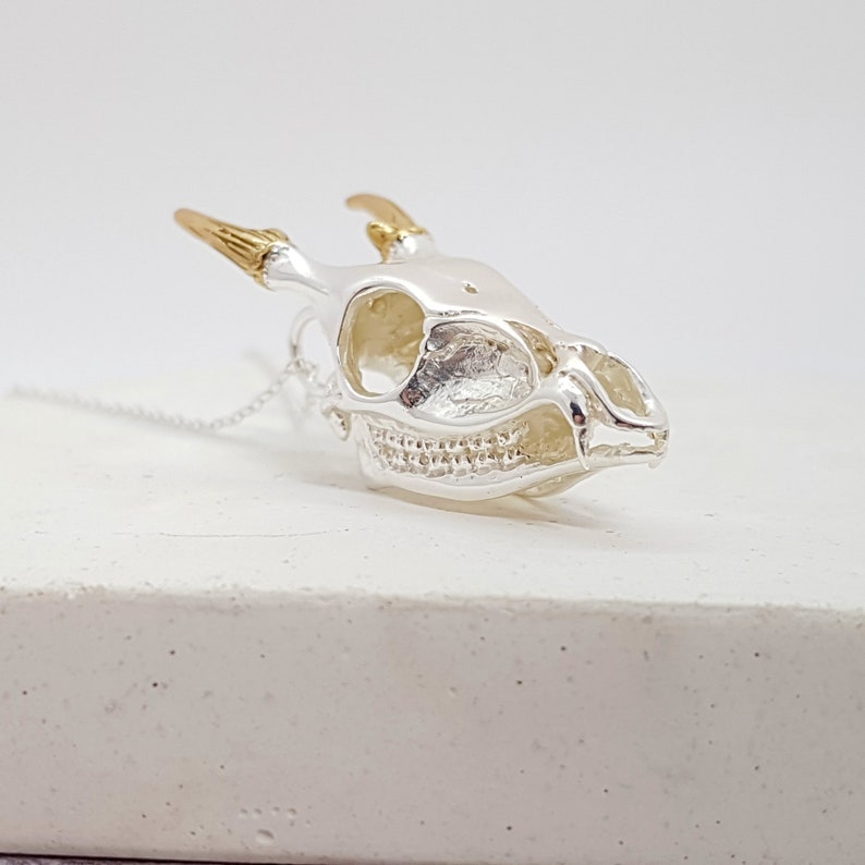 Sterling Silver Deer Skull Jewelry for Men or Women Memento Mori Pendant Design Personalized With Up To 40 Characters