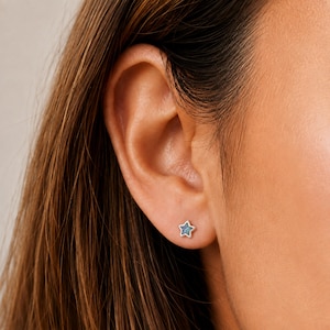 Tiny Paua Shell Star Stud Earrings in Sterling Silver