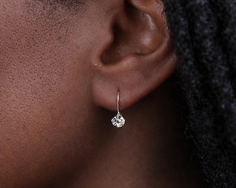 Dangle Drop Earrings