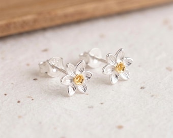 Stud Earrings