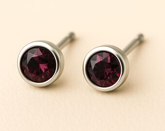 Sterling Silver February Amethyst Birthstone Stud Earrings