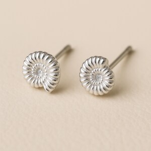 Sterling Silber Ammonit Shell Ohrstecker