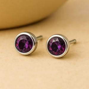 Pendientes de plata de ley con amatista y piedra natal de febrero
