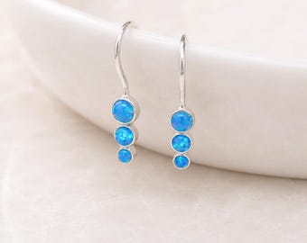 Dangle Drop Earrings
