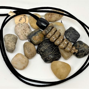 Peut inclure: Un pendentif en forme de queue de serpent à sonnettes brun et beige sur un collier en cordon noir. Le pendentif est en résine et mesure environ 7,5 cm de long. Le collier mesure environ 45 cm de long. Le pendentif est entouré de petites pierres lisses.