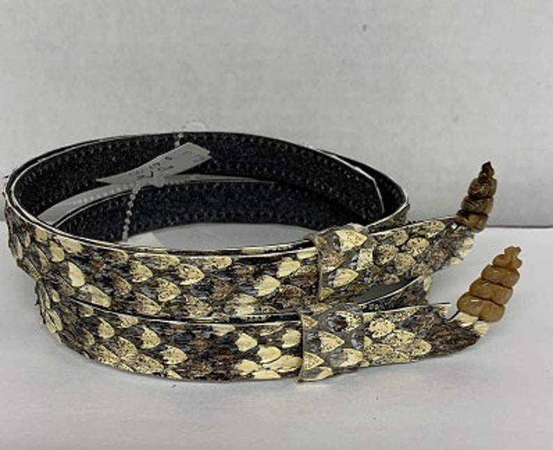 Genuine Rattlesnake 5/8 Hat Band With Rattle Usually - Etsy