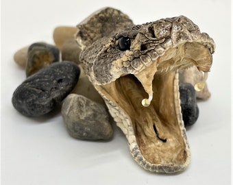 Genuine Open Mouth Rattlesnake Hat Pin, Usually, item(s) in stock. IF not in stock, please anticipate a 2-3 week delivery.