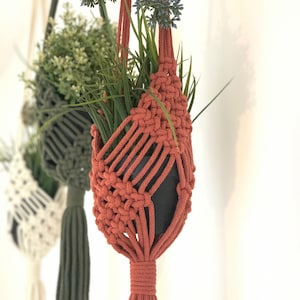 Può includere: Primo piano di un portavaso in macramè color terracotta con un vaso nero pieno di verde e accenti floreali blu. Il portavaso è sospeso, mostrando intricati nodi e un nappa. Altri portavasi sono visibili sullo sfondo.