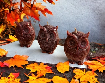 Candele di gufo in cera d'api