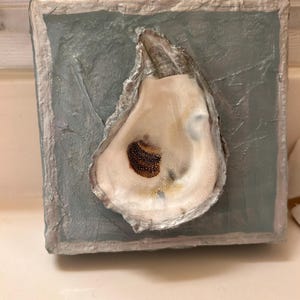 May include: A white oyster shell with a brown interior is mounted on a blue and silver textured canvas.