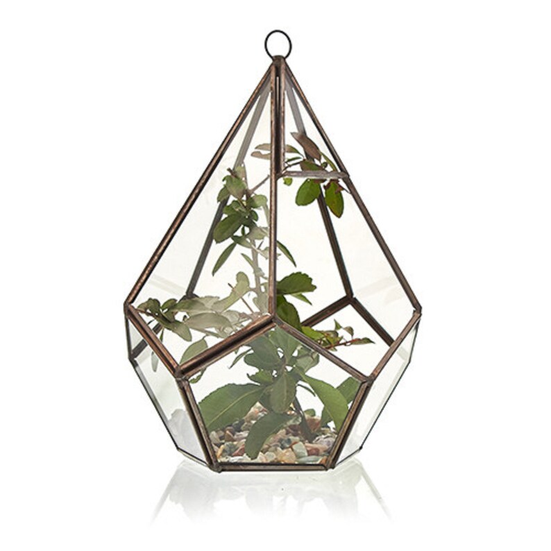 Glass Terrarium Glass & Brass Terrariums Geometric Etsy UK