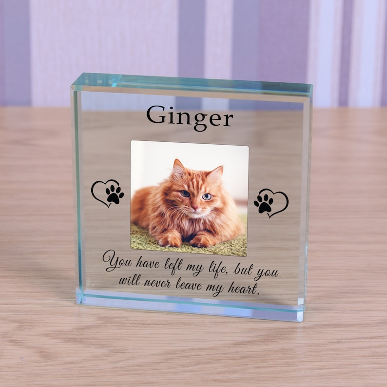 Cat Memorial Personalised Photo Engraved Glass Block Etsy