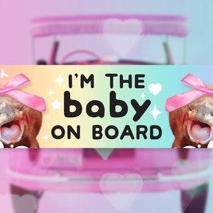 I'm the Baby on Board Chubby Rain Frog Y2K Cute Funny Bumper Sticker